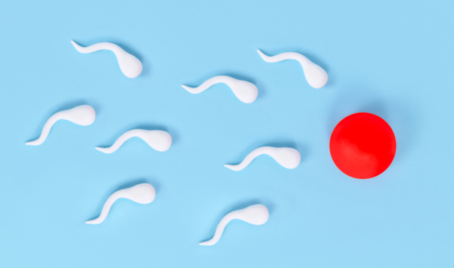 Common Myths About Infertility